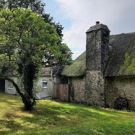 Quintessential, Secluded South Devon Cottage Plymouth Exteriör bild